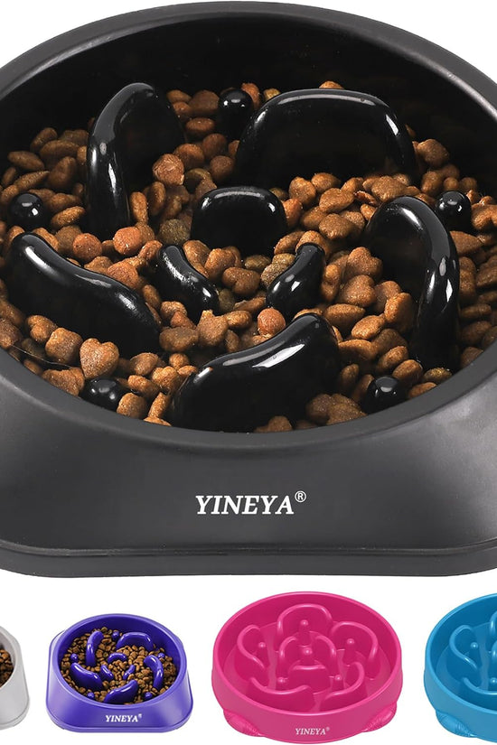 Pet Food Slow Eating Dish Feeder Bowl, Dogs, Cats, Interactive, 1~2 Cups (Black)