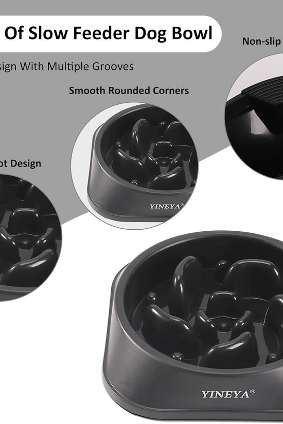 Pet Food Slow Eating Dish Feeder Bowl, Dogs, Cats, Interactive, 1~2 Cups (Black)