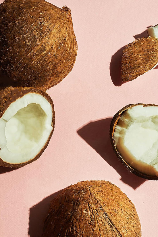 Body Wash Exfoliating Scrub, Coconut Butter Scent, 20 Oz Bottle - Velinare