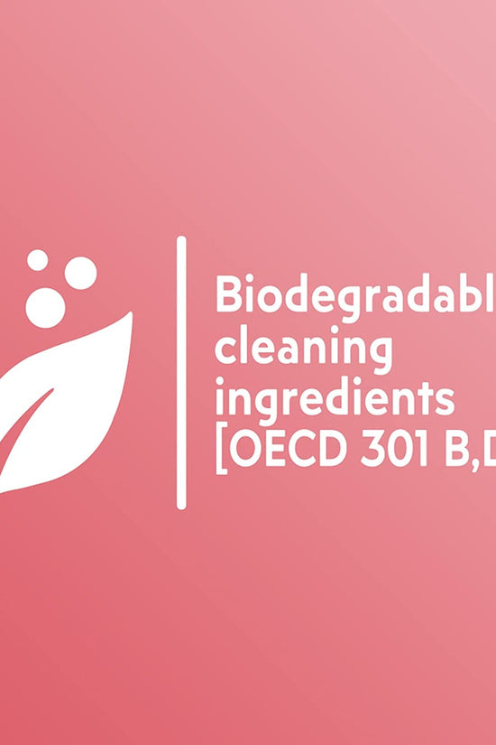 Body Wash Exfoliating Scrub, Coconut Butter Scent, 20 Oz Bottle - Velinare