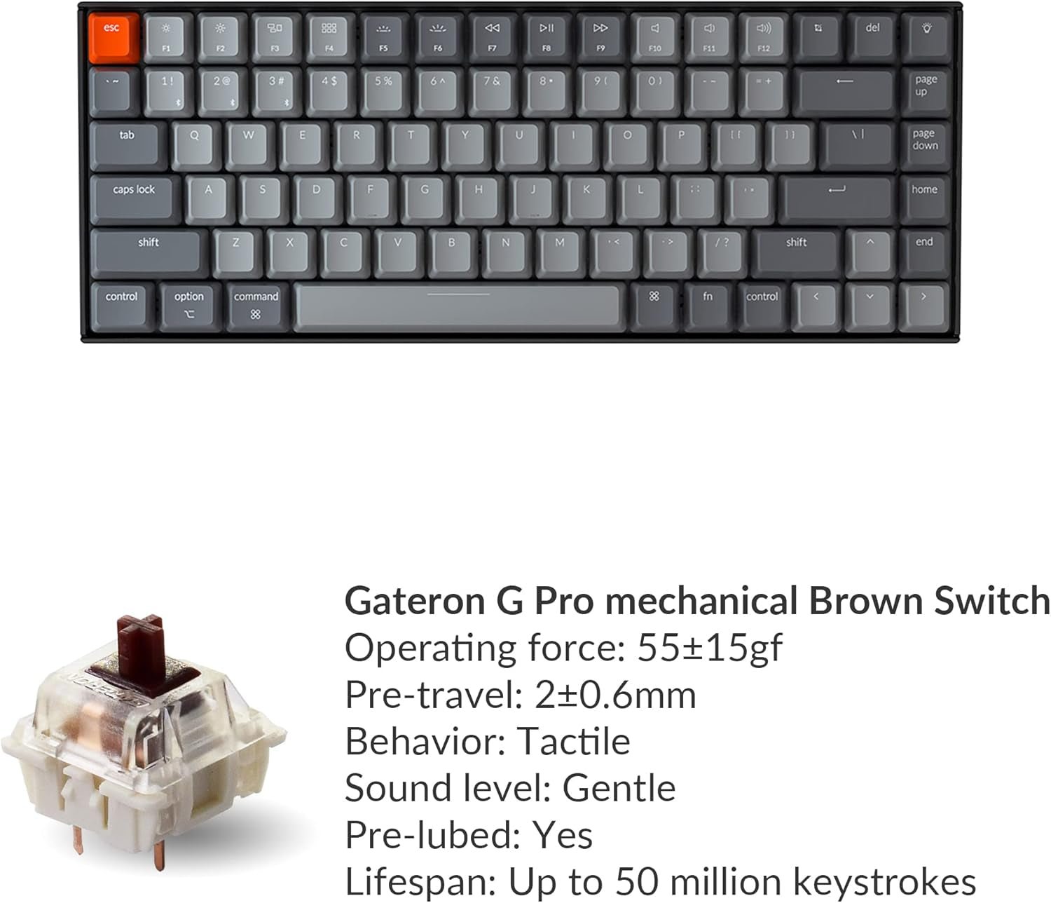 K2 75% Layout RGB Bluetooth Wireless Mechanical Keyboard with Gateron G Pro Brown Switch/Anti Ghosting/N - Key Rollover, Compact 84 Keys USB Wired Gaming Keyboard for Mac Windows - Version 2 - Velinare